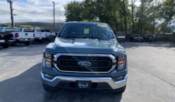 2023 Ford F150 XLT full