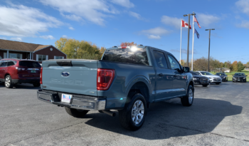 2023 Ford F150 XLT full