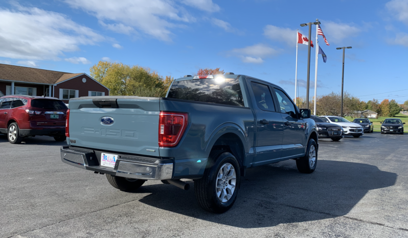 2023 Ford F150 XLT full