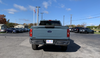 2023 Ford F150 XLT full