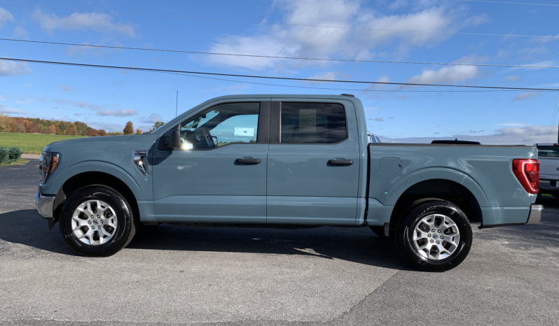 2023 Ford F150 XLT full