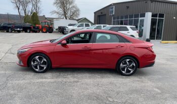 2023 Hyundai Elantra Limited full